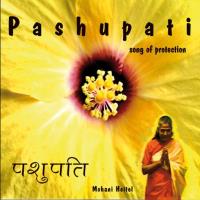 Pashupati - Song of Protection [CD] Heitel, Mohani