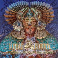 ReGen AtYyA Remixes [CD] Liquid Bloom