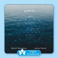 Amrit [mp3 Download] Ikonomou, David & Forest, James